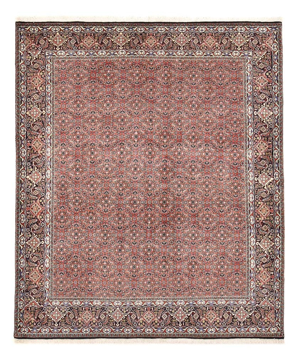 Alfombra persa - Bidjar - 244 x 204 cm - óxido