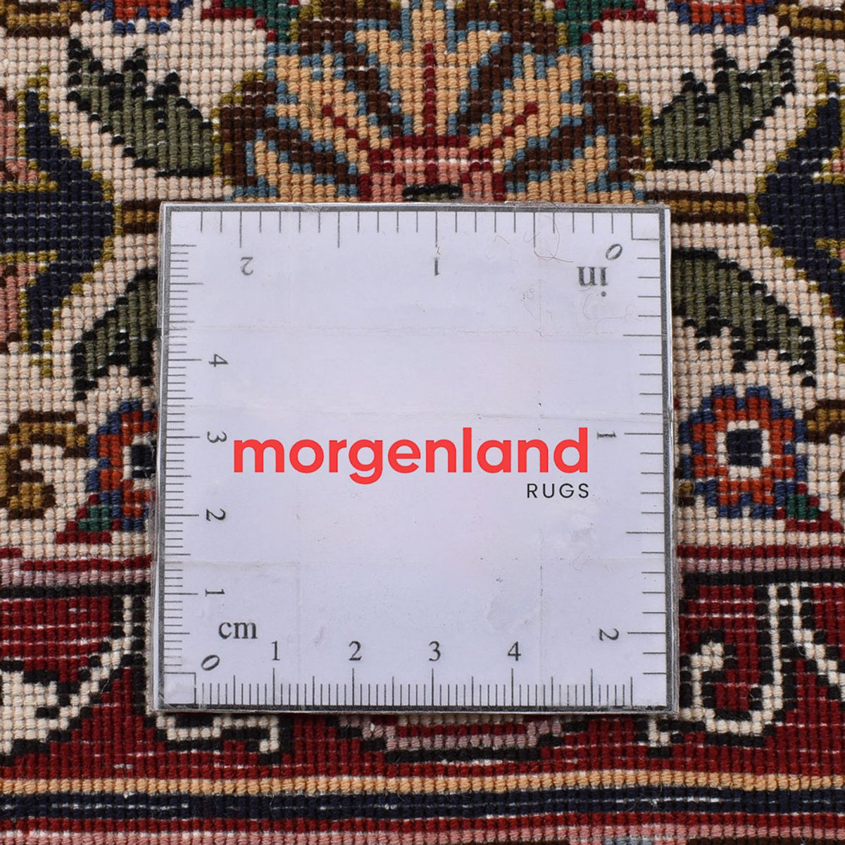 Alfombra Persa - Tabriz - Real - 250 x 177 cm - arena