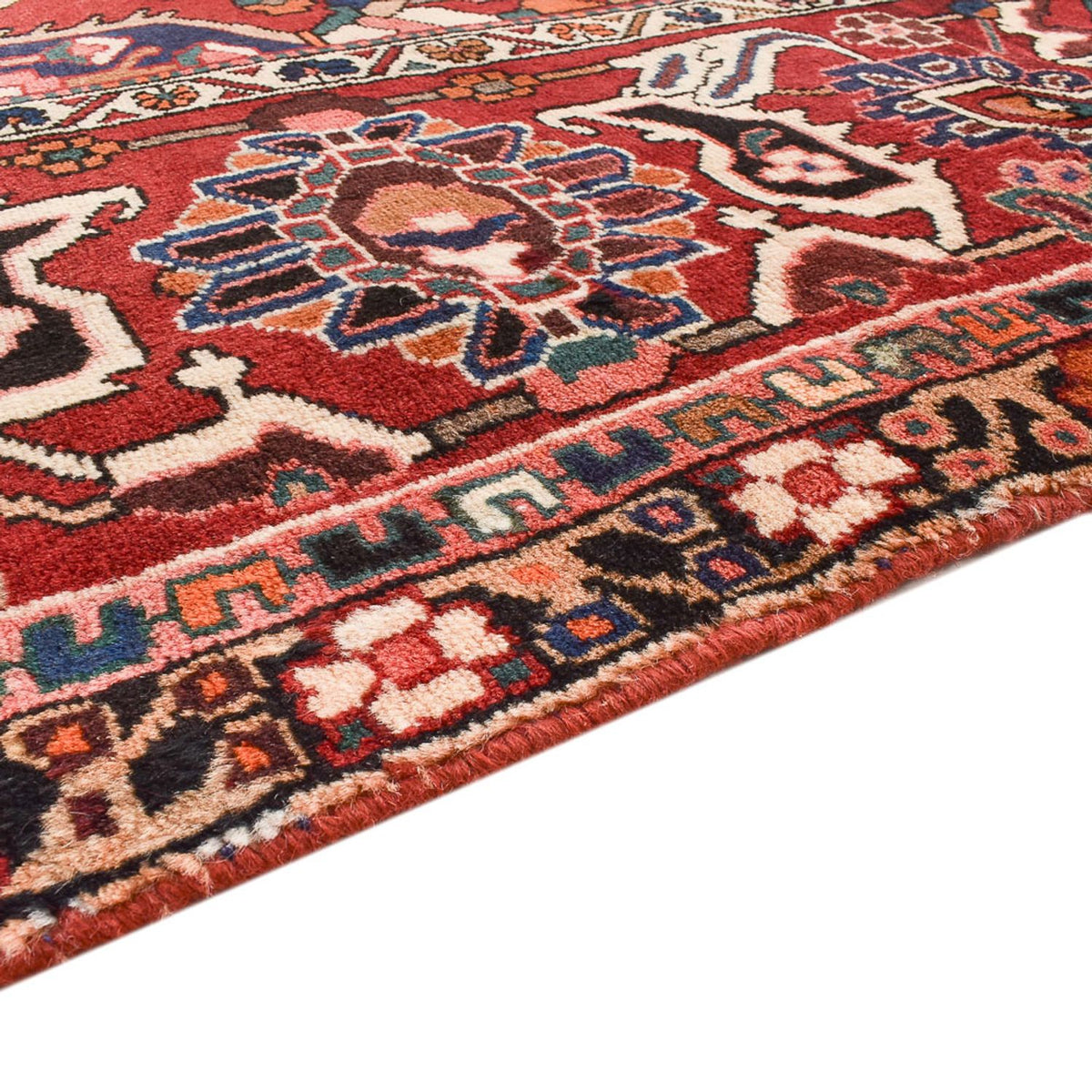 Bakhtiari Alfombra 320x380cm - Alfombra persa