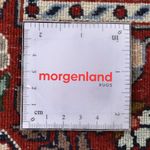 Alfombra persa - Clásica - 290 x 204 cm - óxido