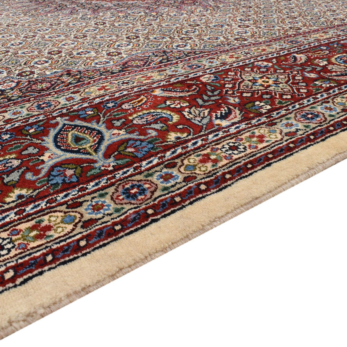 Moud Alfombra 200x300cm - Alfombra persa