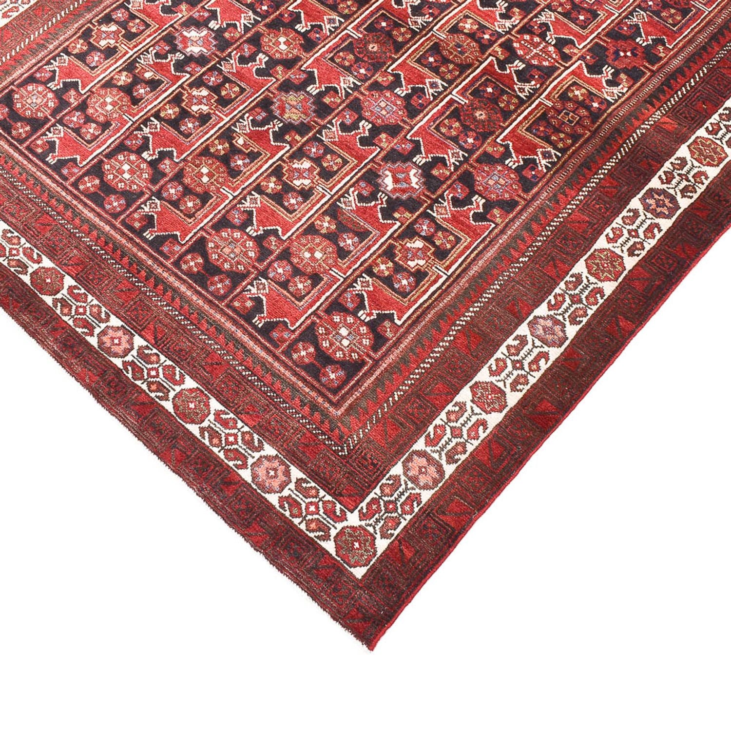 Alfombra de pasillo Alfombra Belutsch - 307 x 147 cm - óxido