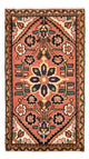 Hamadan Alfombra 100x54cm - Alfombra persa