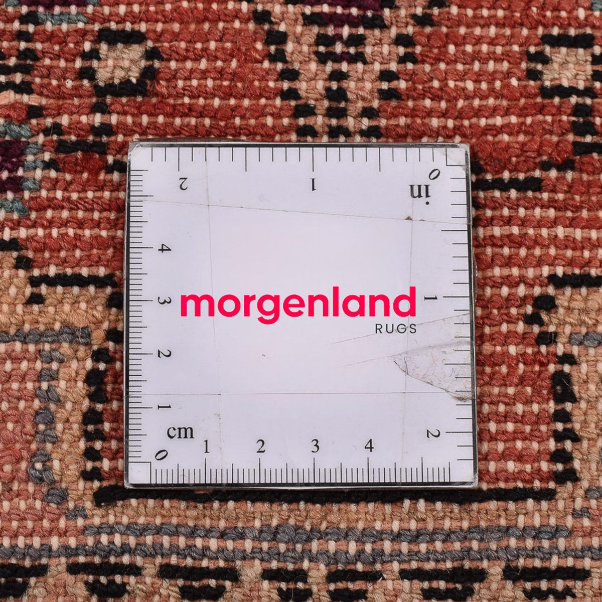 Alfombra de pasillo Alfombra persa - Nómada - 160 x 73 cm - rojo