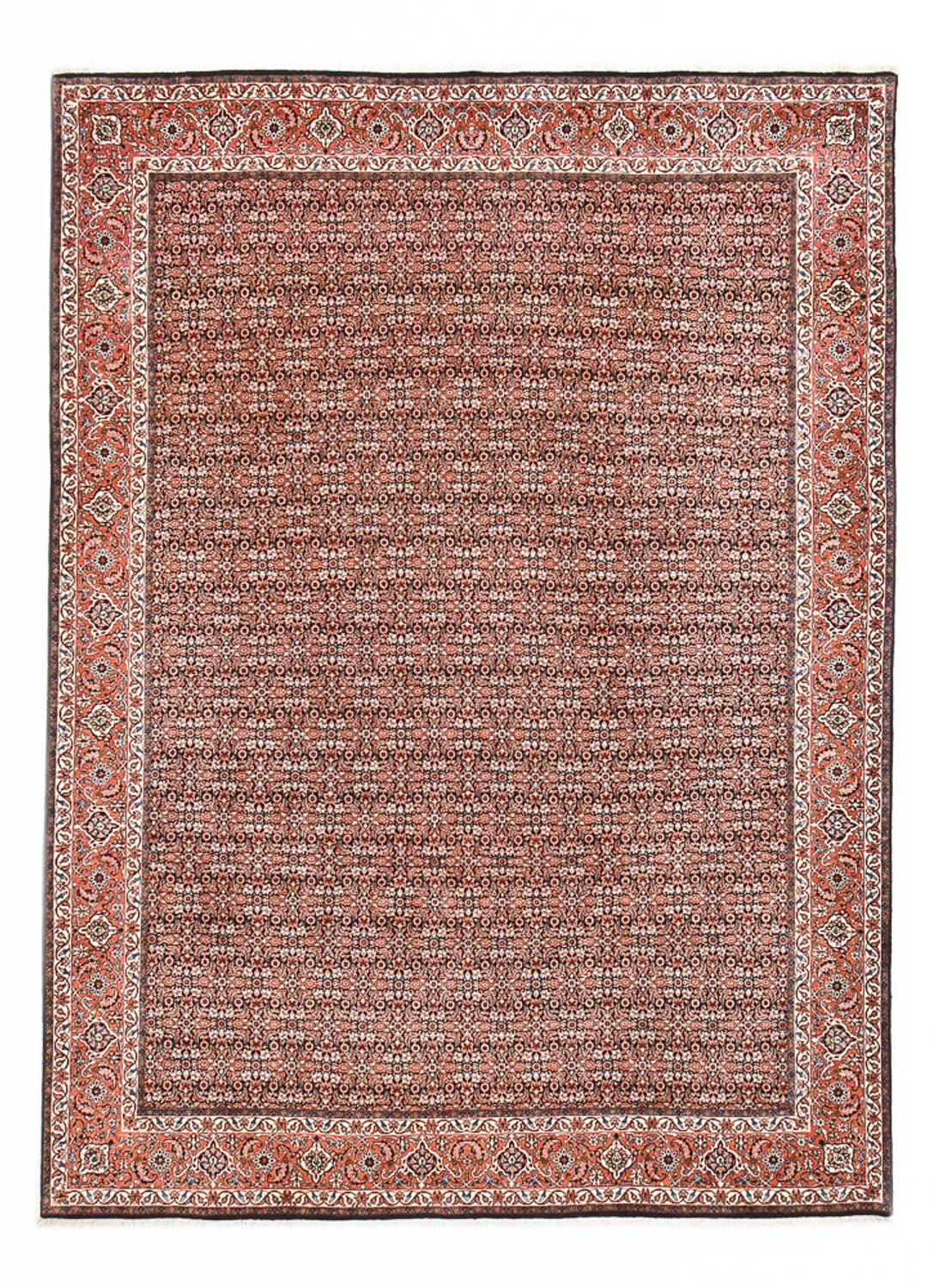 Alfombra persa - Bidjar - 350 x 252 cm - óxido