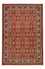 Alfombra persa - Bidjar - 207 x 139 cm - rojo