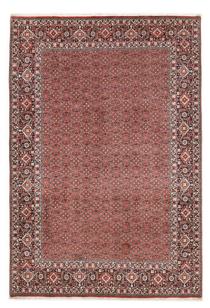 Alfombra persa - Bidjar - 300 x 203 cm - óxido