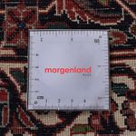 Alfombra persa - Bidjar - 300 x 203 cm - óxido