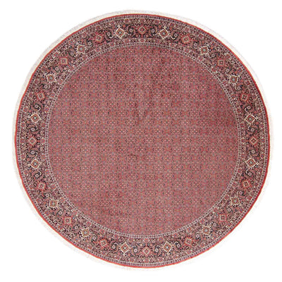 Bidjar Alfombra 305x305cm - Alfombra persa