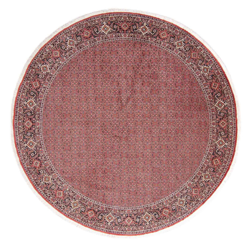 Alfombra persa - Bidjar redondo  - 305 x 305 cm - rojo claro