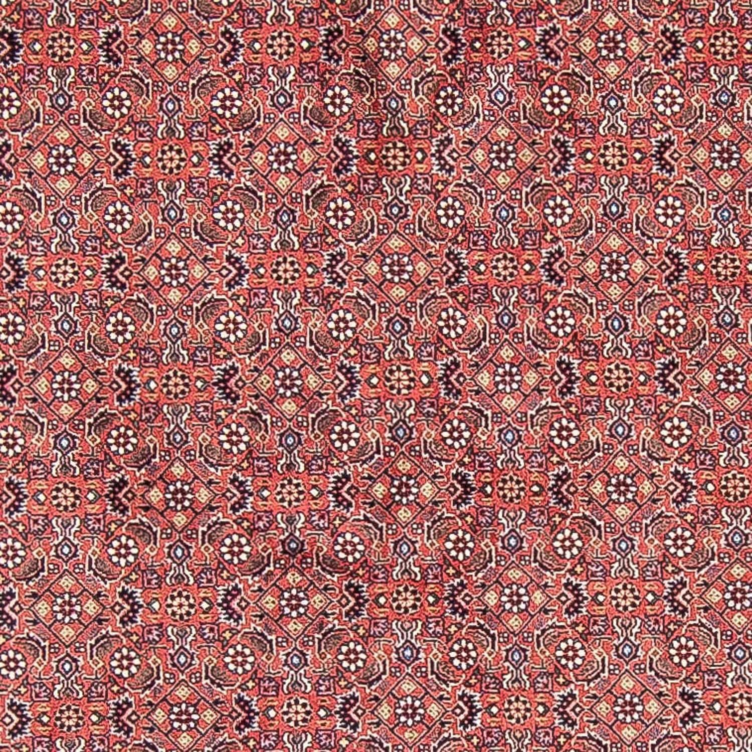 Alfombra persa - Bidjar redondo  - 305 x 305 cm - rojo claro