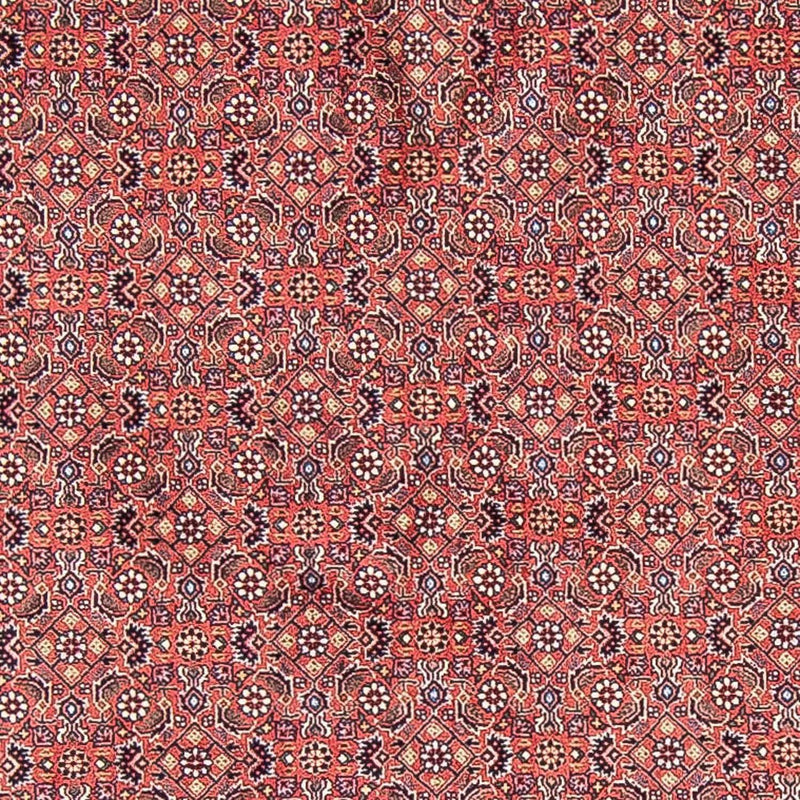 Alfombra persa - Bidjar redondo  - 305 x 305 cm - rojo claro