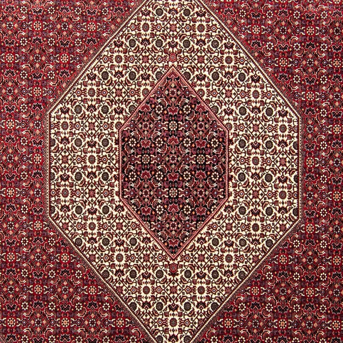 Alfombra persa - Bidjar - 303 x 250 cm - rojo oscuro