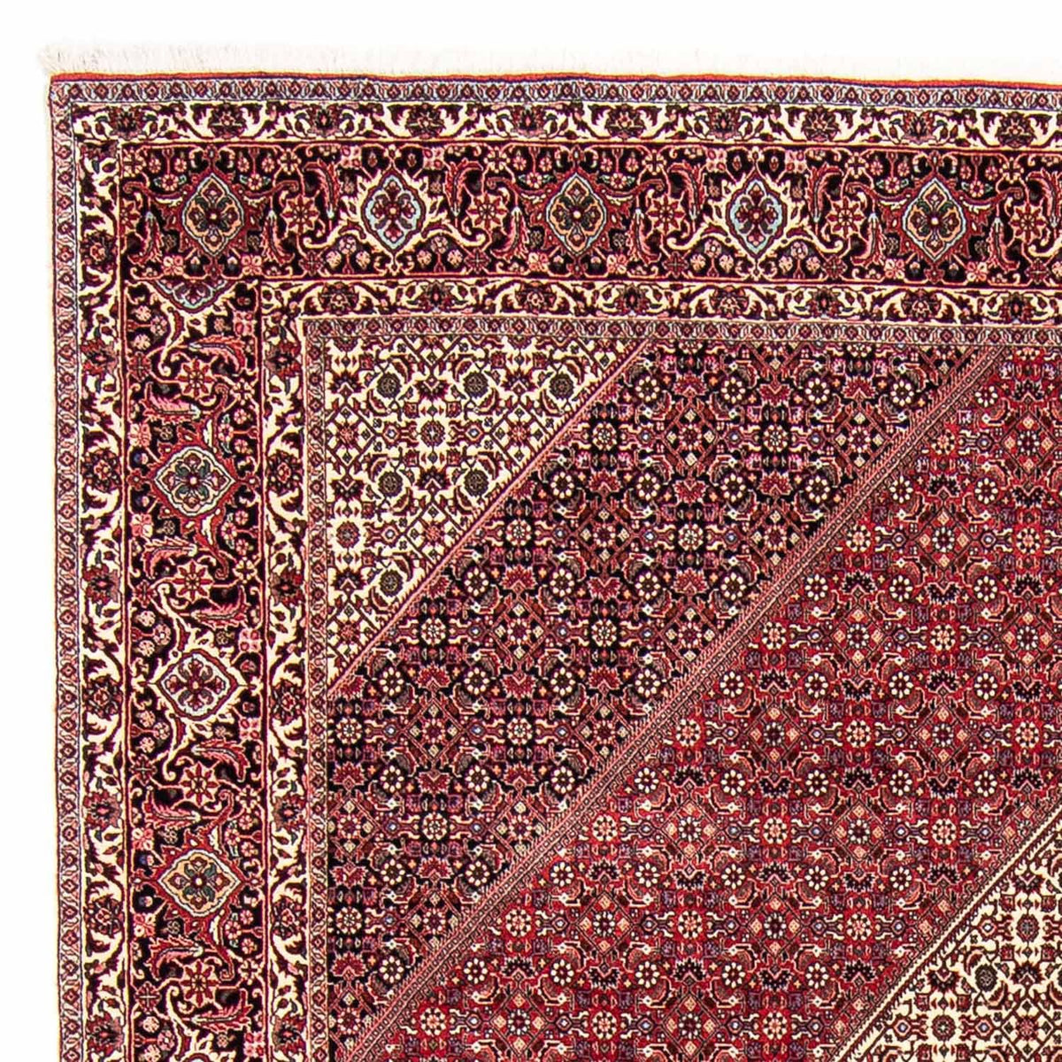 Bidjar Alfombra 250x303cm - Alfombra persa