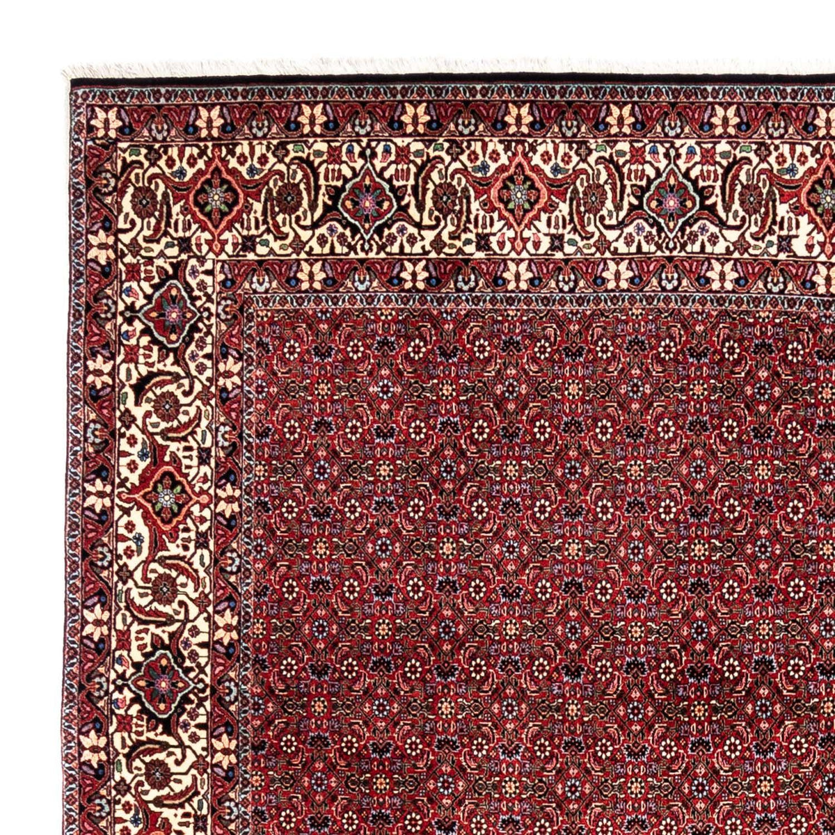 Alfombra persa - Bidjar - 331 x 254 cm - rojo