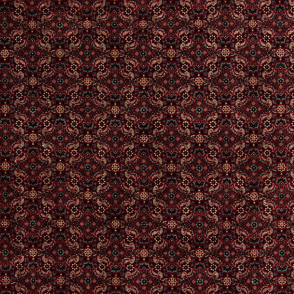 Alfombra persa - Bidjar - 252 x 206 cm - rojo oscuro