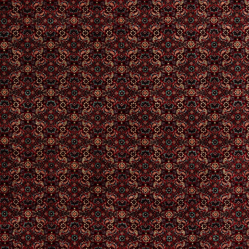 Alfombra persa - Bidjar - 252 x 206 cm - rojo oscuro