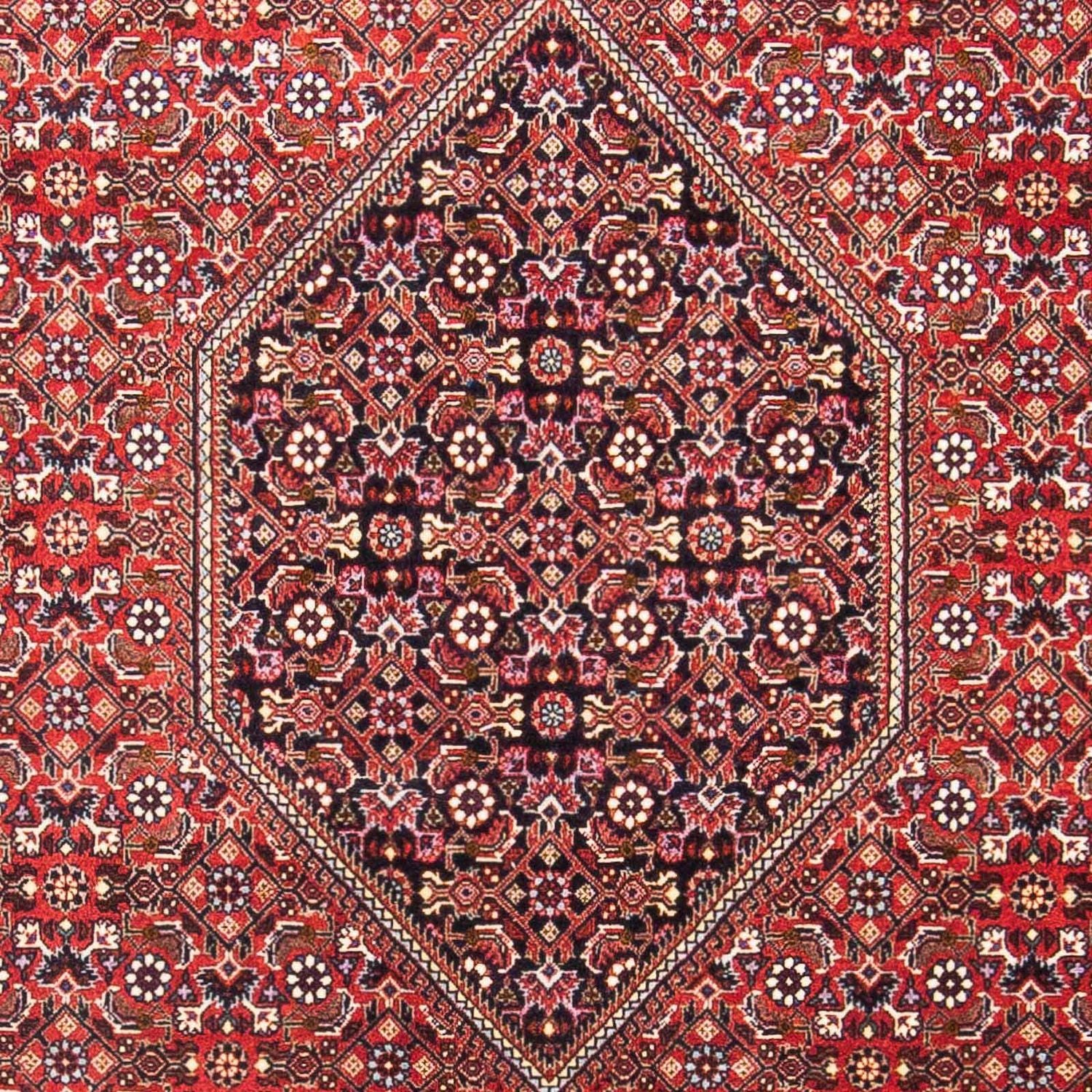 Alfombra persa - Bidjar - 180 x 110 cm - rojo
