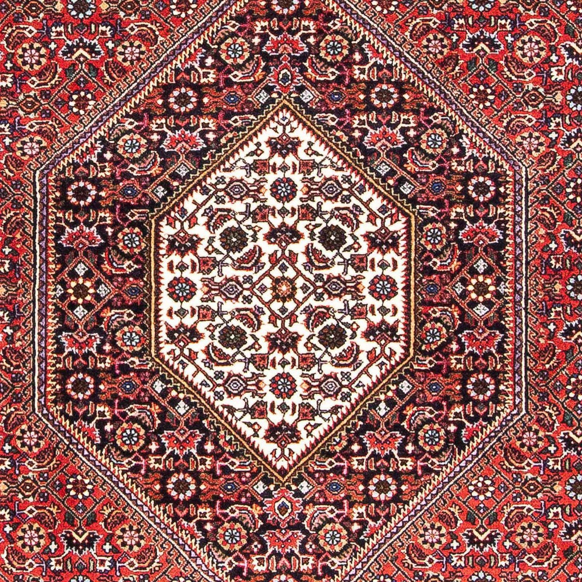 Alfombra persa - Bidjar - 170 x 109 cm - rojo