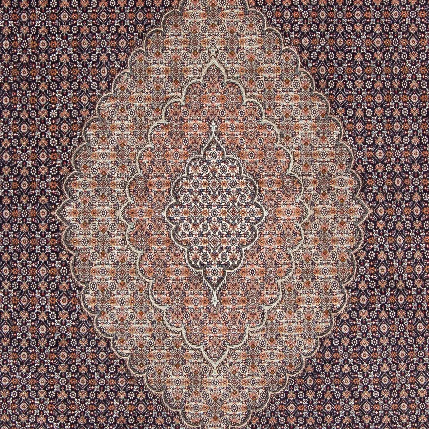 Alfombra persa - Tabriz - 296 x 207 cm - azul oscuro