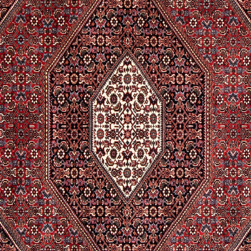 Alfombra persa - Bidjar - 246 x 167 cm - rojo oscuro