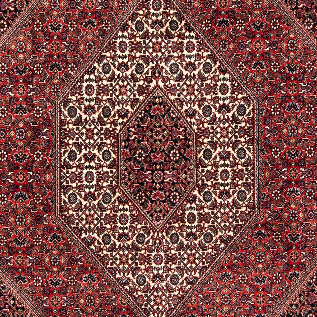 Alfombra persa - Bidjar - 245 x 167 cm - rojo oscuro