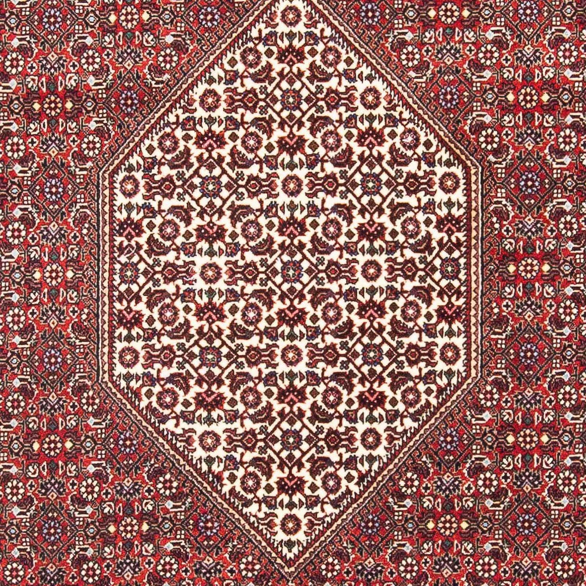 Alfombra persa - Bidjar - 185 x 112 cm - rojo