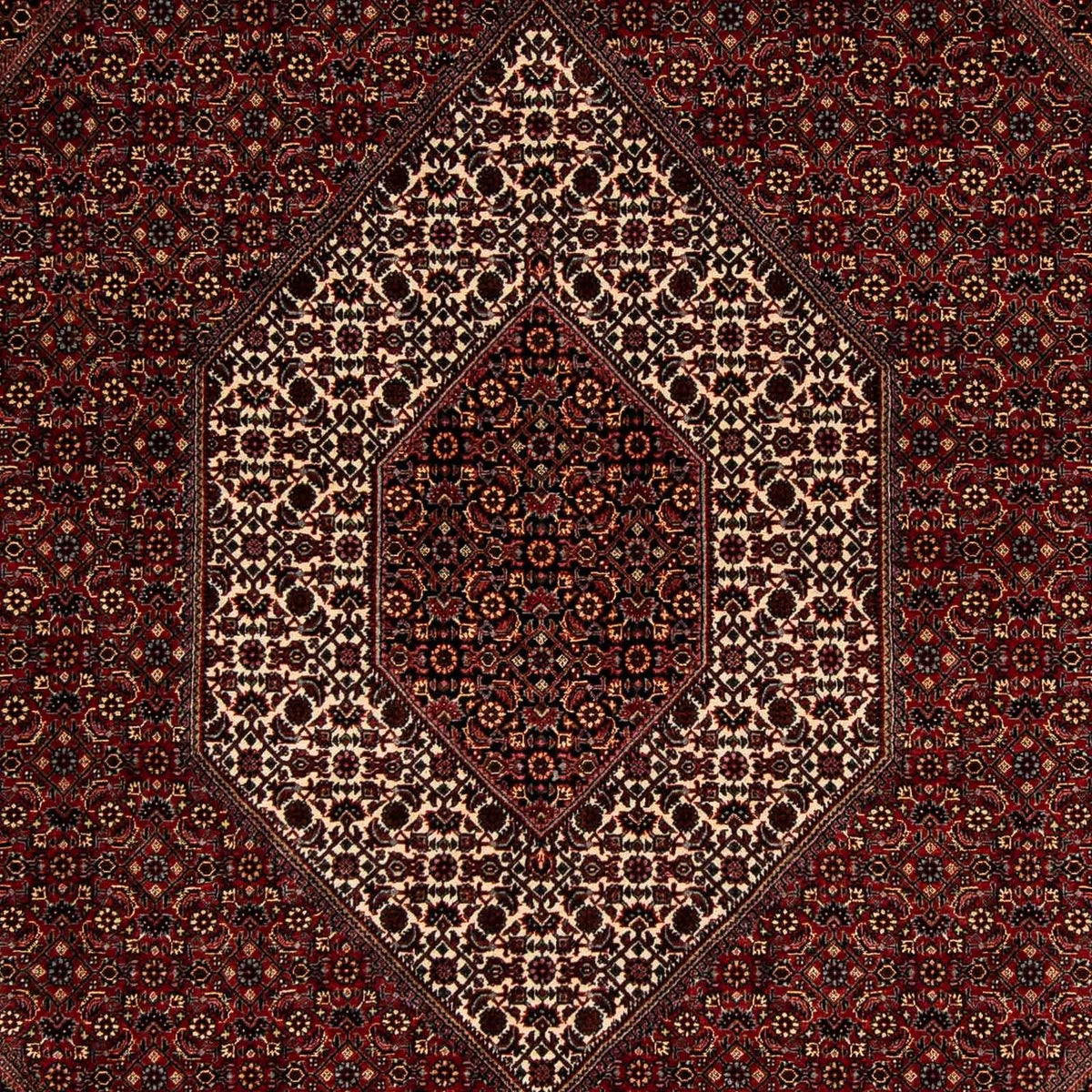 Alfombra persa - Bidjar - 252 x 208 cm - rojo oscuro