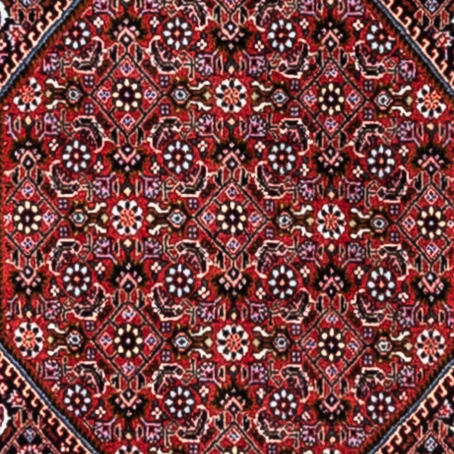 Alfombra persa - Bidjar - 318 x 200 cm - rojo