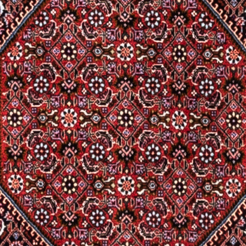 Alfombra persa - Bidjar - 318 x 200 cm - rojo