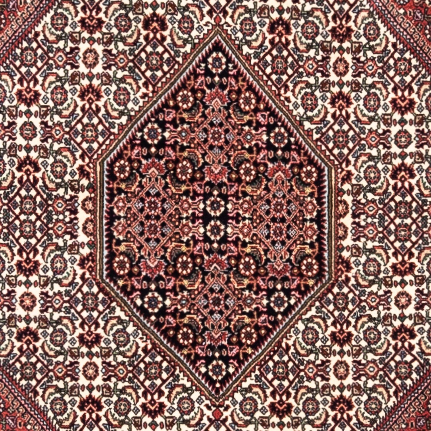 Alfombra persa - Bidjar - 295 x 200 cm - rojo