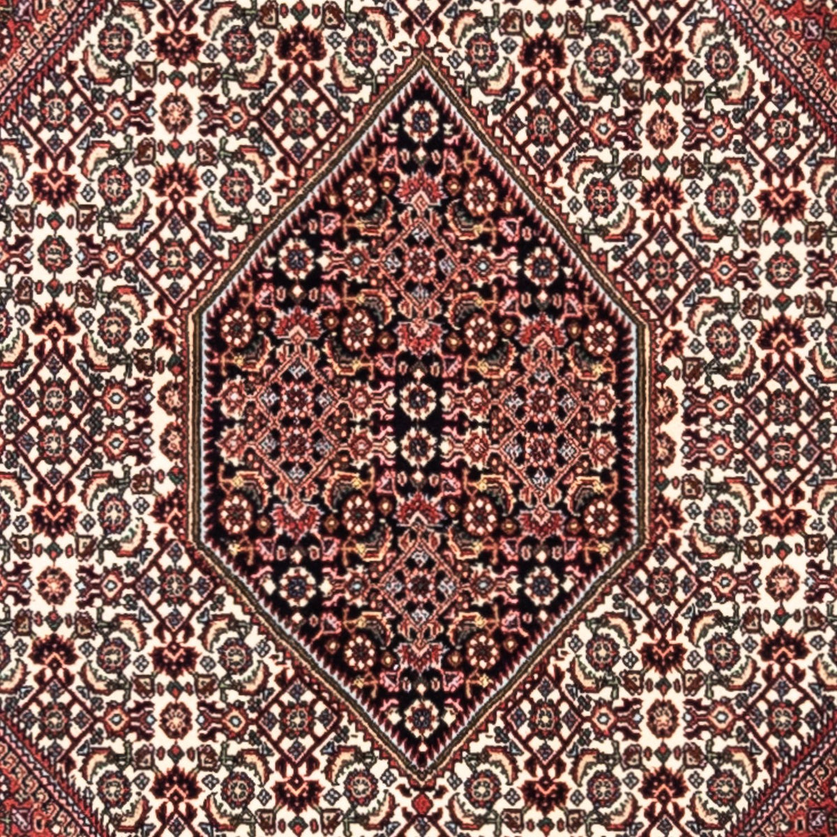 Alfombra persa - Bidjar - 295 x 200 cm - rojo