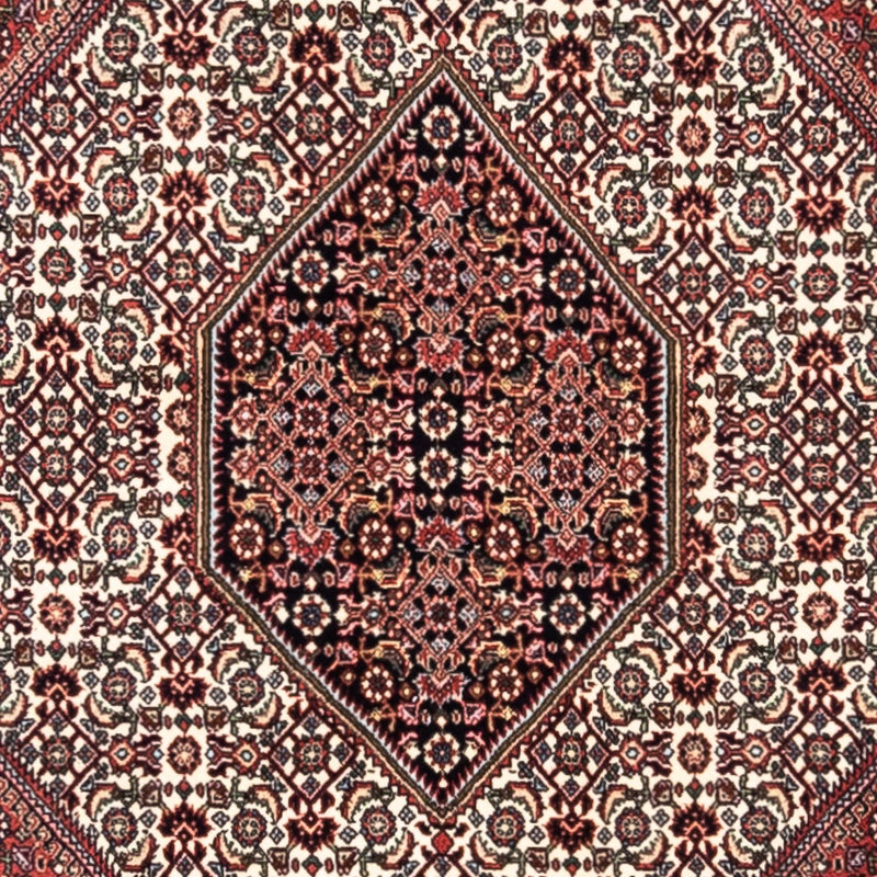 Alfombra persa - Bidjar - 295 x 200 cm - rojo