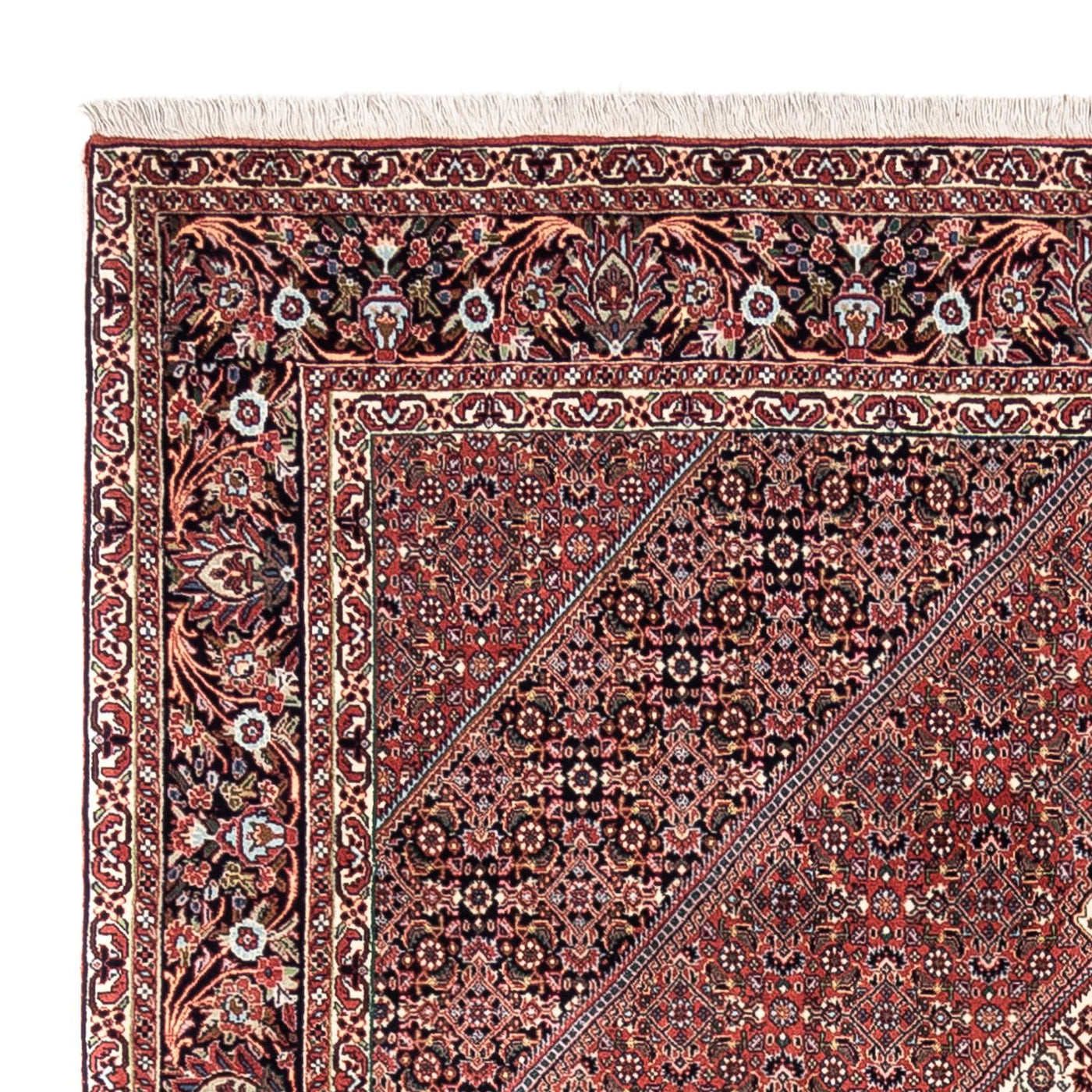 Bidjar - Takab Alfombra 295x200cm - Alfombra persa