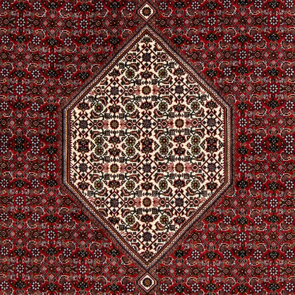 Alfombra persa - Bidjar cuadrado  - 203 x 196 cm - rojo oscuro