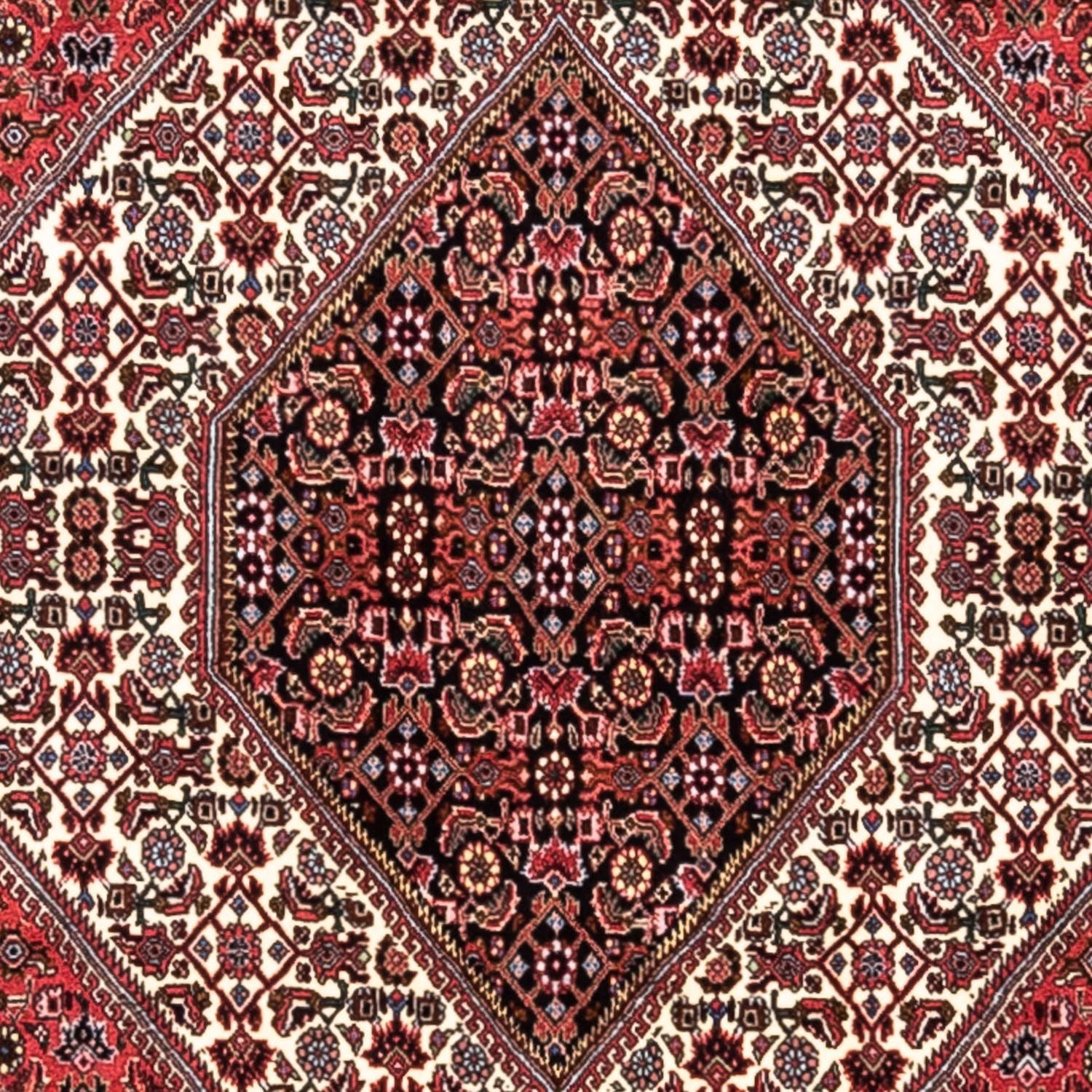 Alfombra persa - Bidjar - 300 x 200 cm - rojo