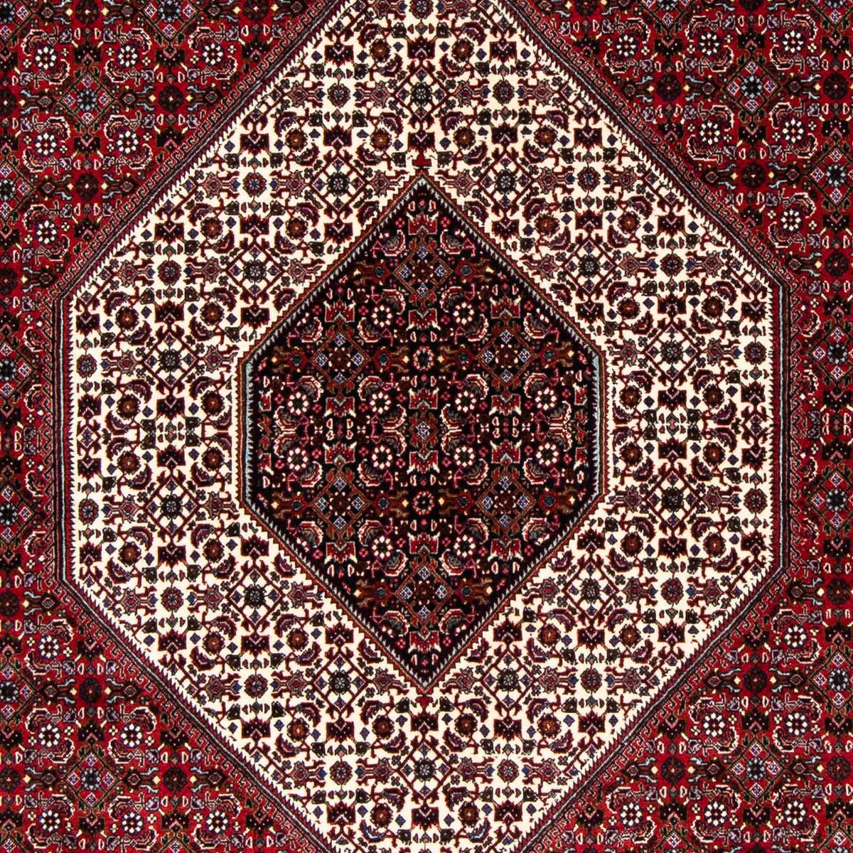 Alfombra persa - Bidjar - 257 x 173 cm - rojo oscuro