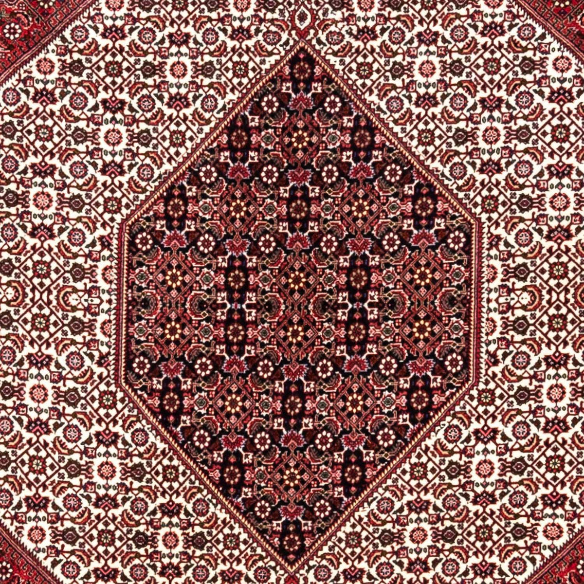 Alfombra persa - Bidjar - 360 x 253 cm - rojo