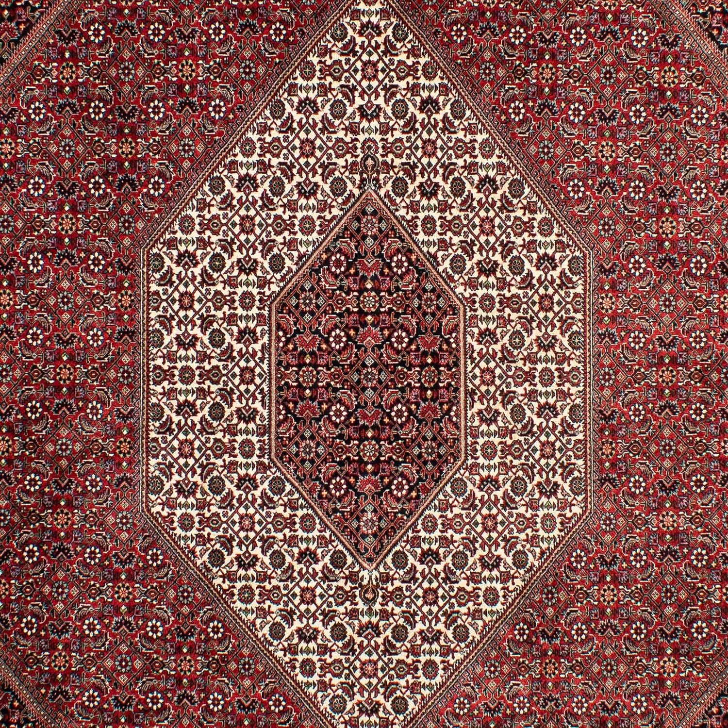 Alfombra persa - Bidjar - 298 x 200 cm - rojo oscuro
