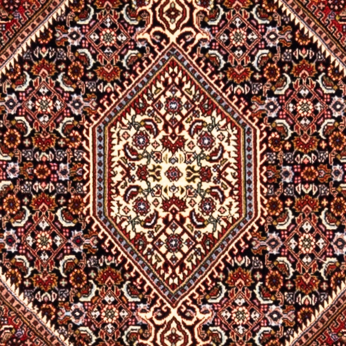 Alfombra persa - Bidjar - 280 x 191 cm - rojo