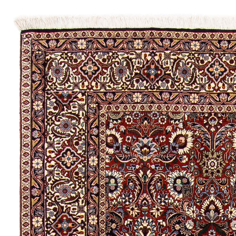Alfombra persa - Bidjar - 248 x 170 cm - marrón