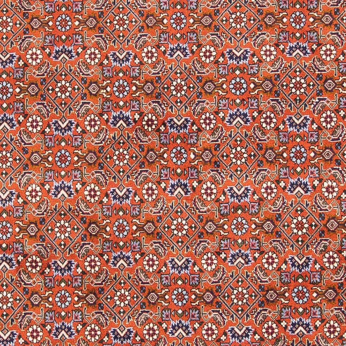 Alfombra persa - Bidjar - 160 x 110 cm - naranja