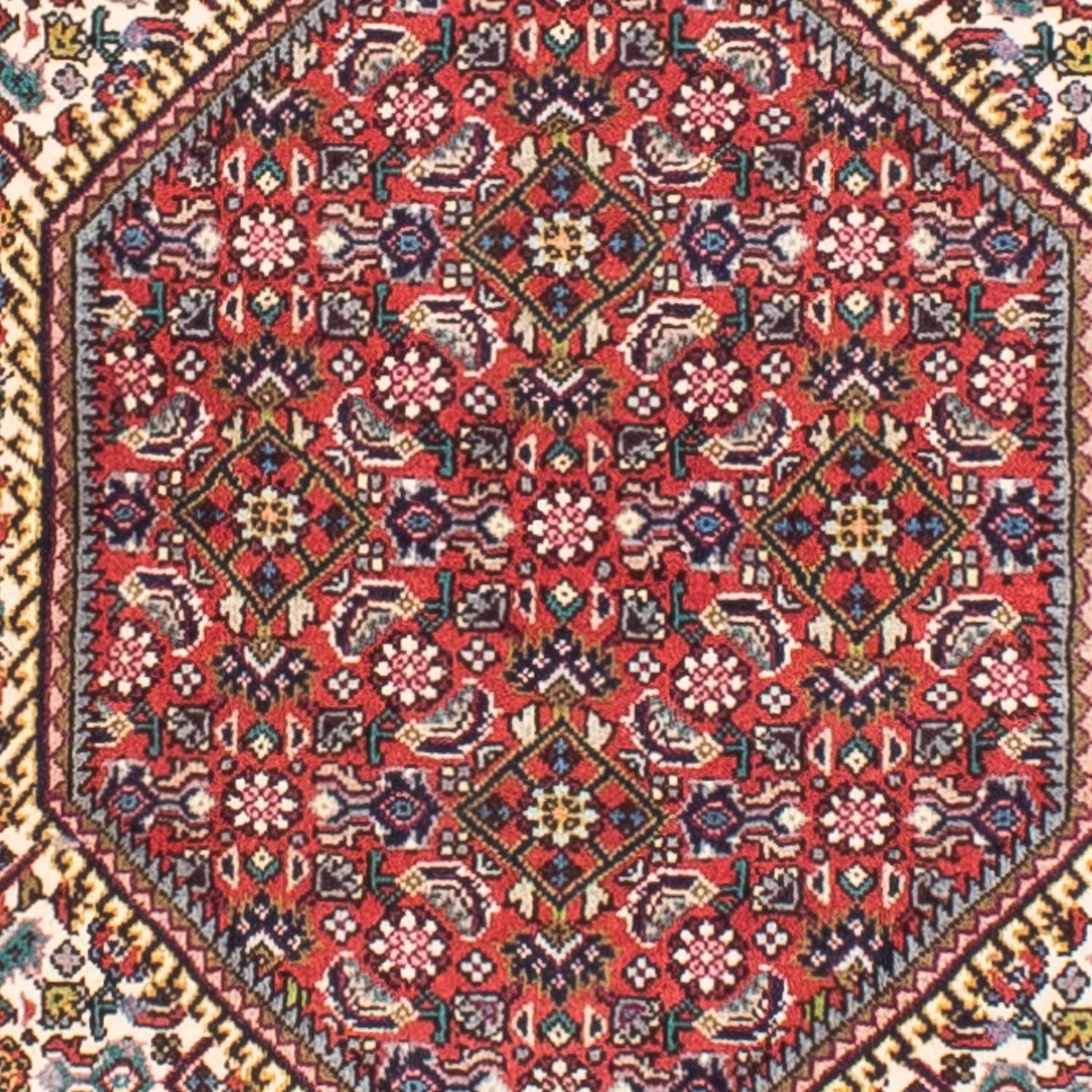Alfombra persa - Bidjar - 170 x 110 cm - beige