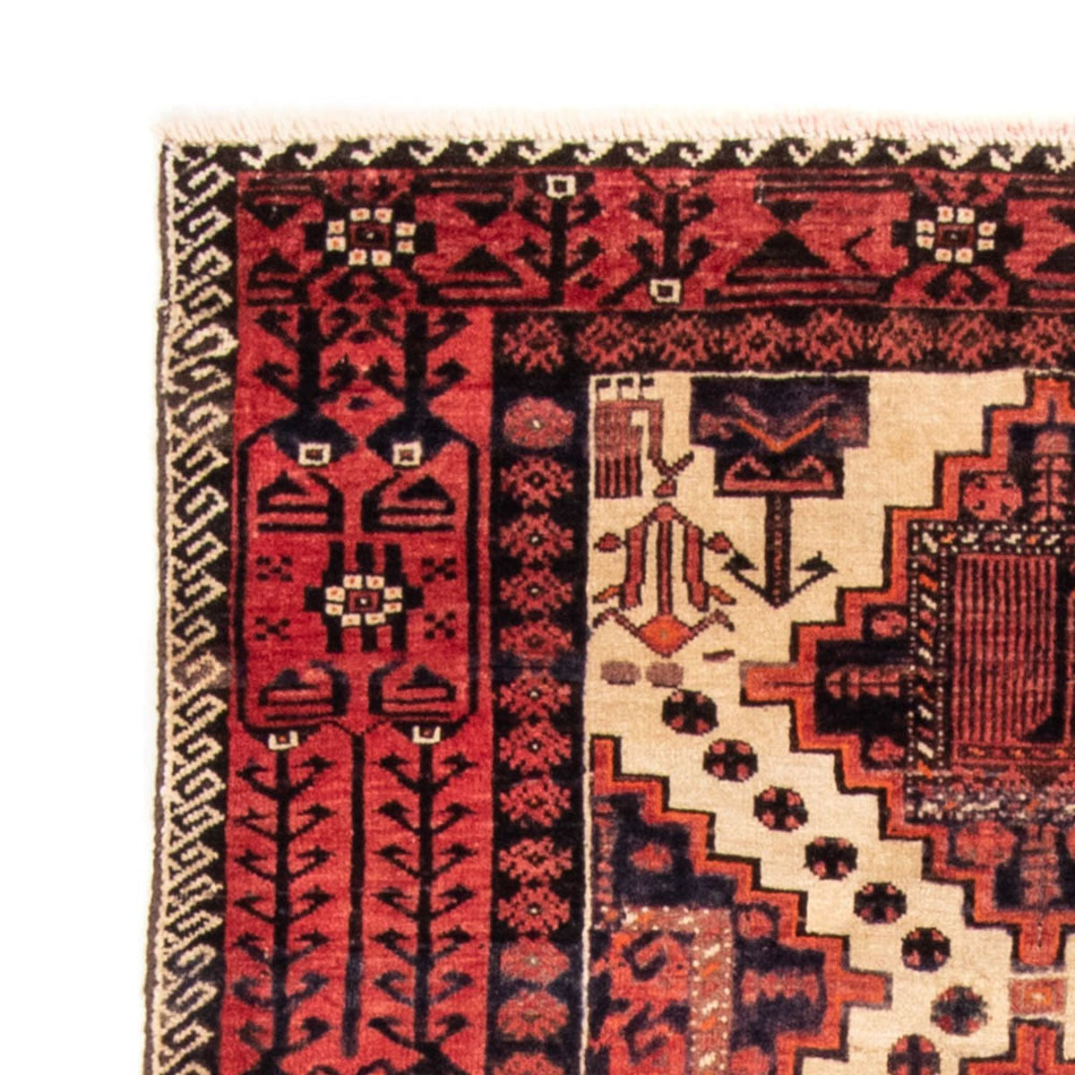 Alfombra Belutsch 100x238cm - Alfombra persa