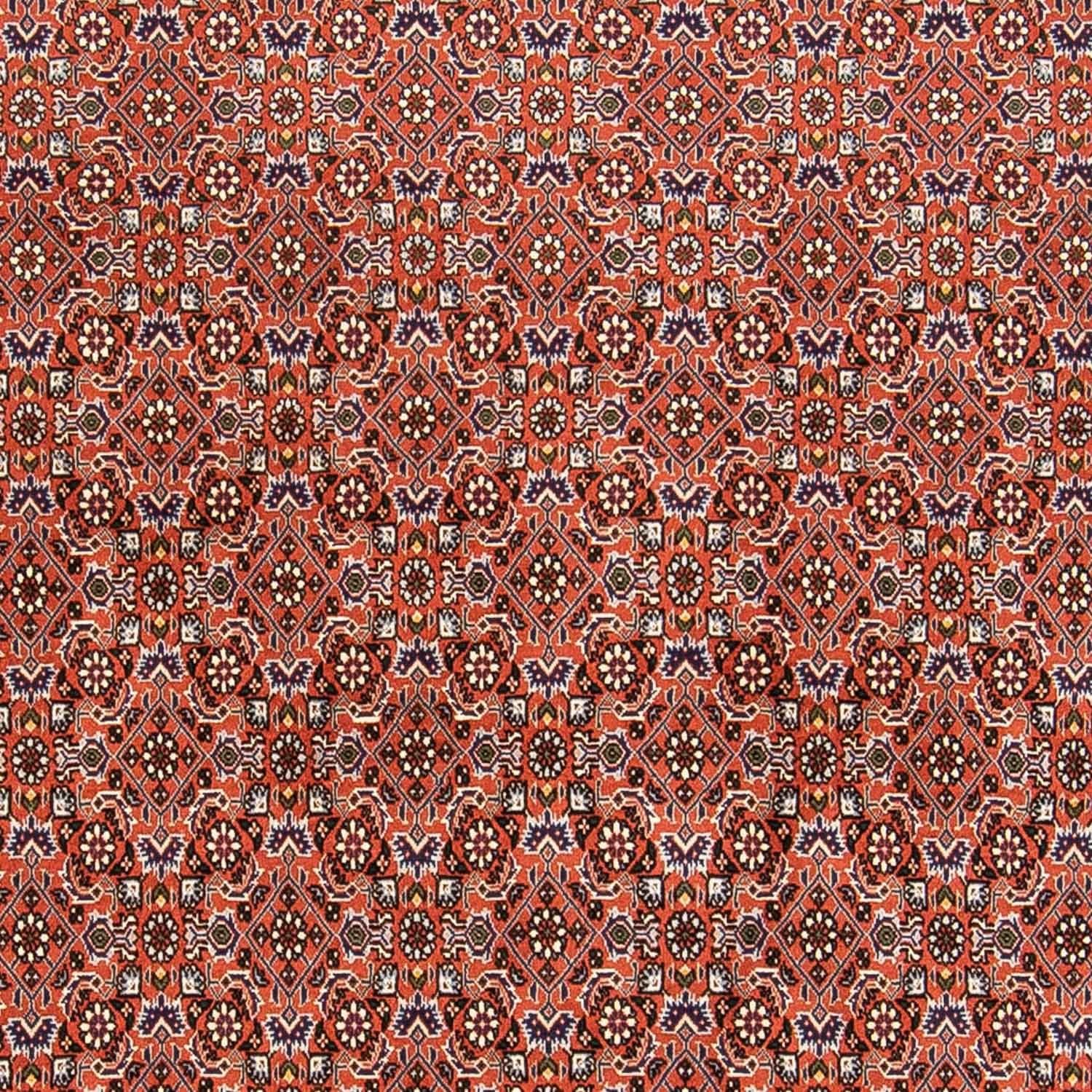 Alfombra persa - Bidjar - 230 x 168 cm - óxido