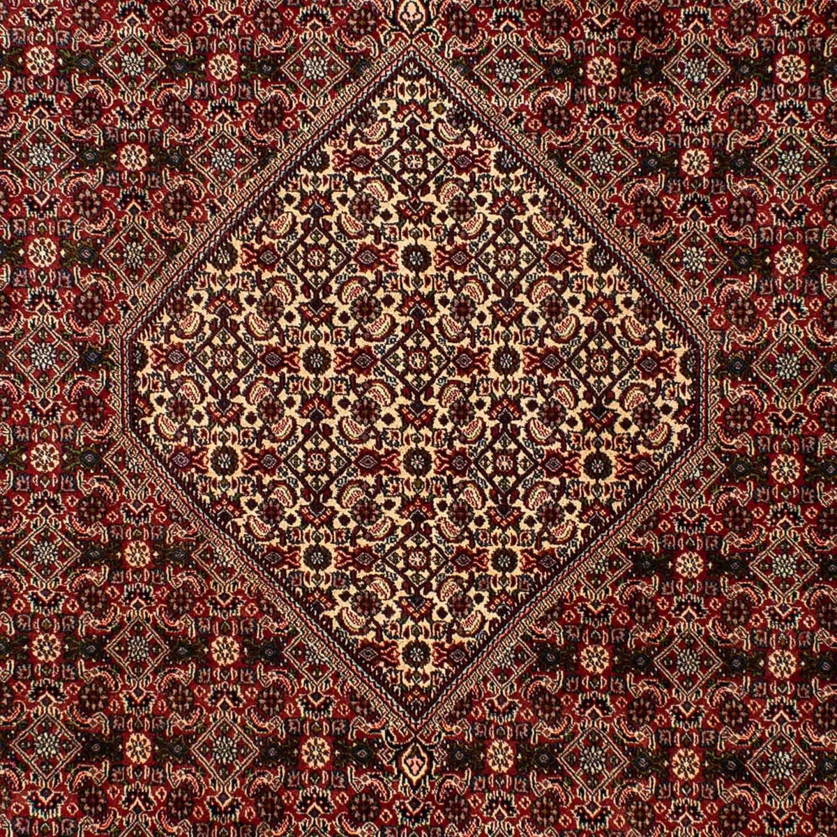 Alfombra persa - Bidjar - 309 x 197 cm - marrón