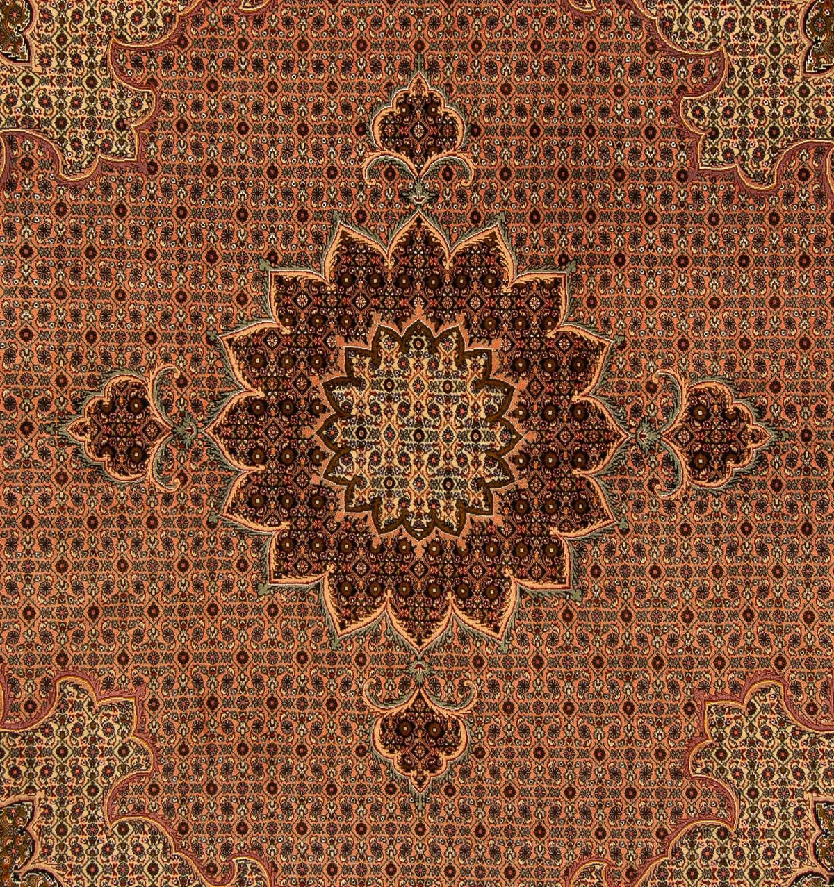Alfombra persa - Tabriz cuadrado  - 206 x 206 cm - marrón