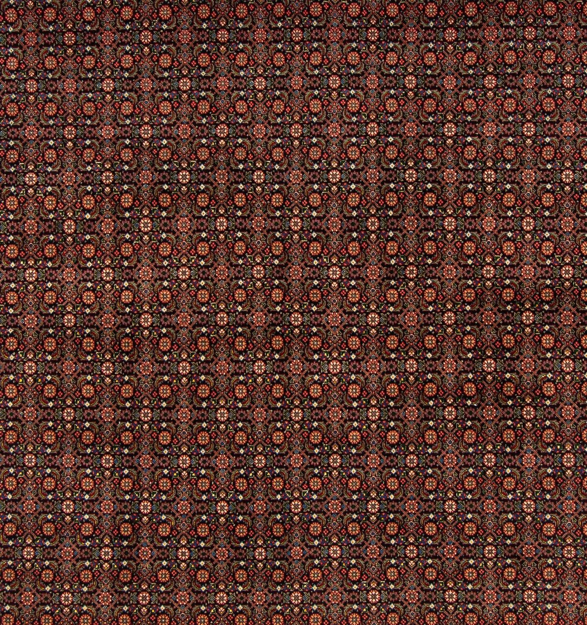 Alfombra persa - Tabriz cuadrado  - 200 x 195 cm - azul oscuro