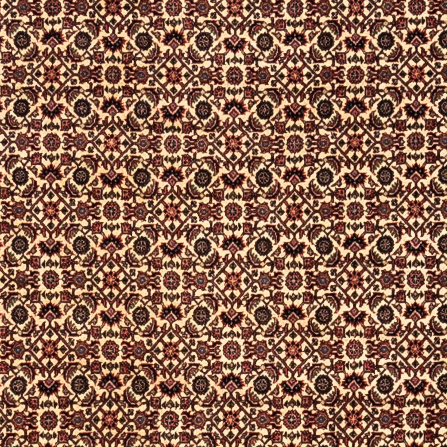 Alfombra persa - Bidjar - 302 x 208 cm - beige