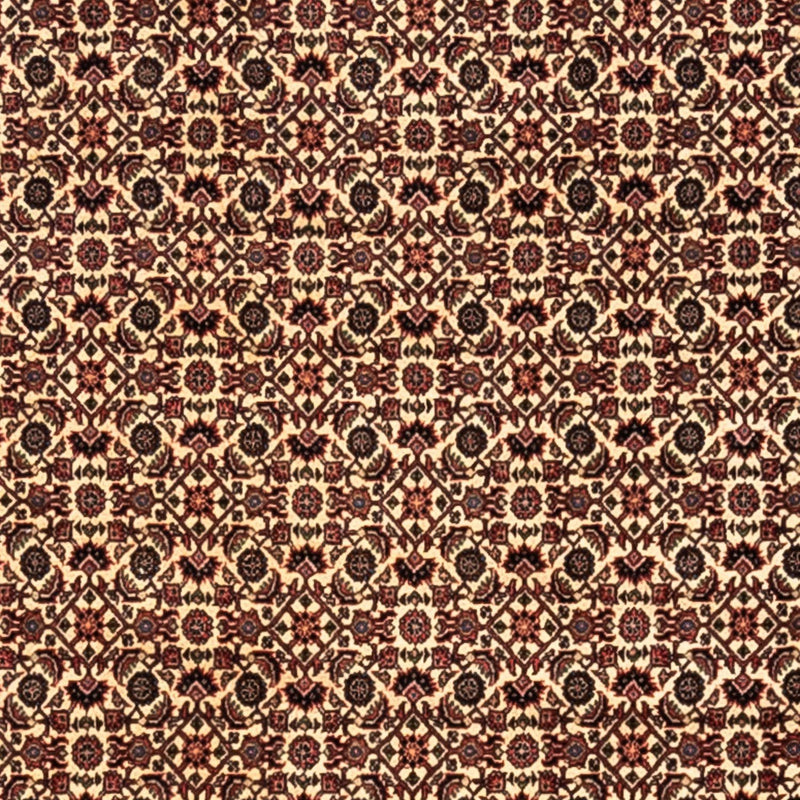 Alfombra persa - Bidjar - 302 x 208 cm - beige